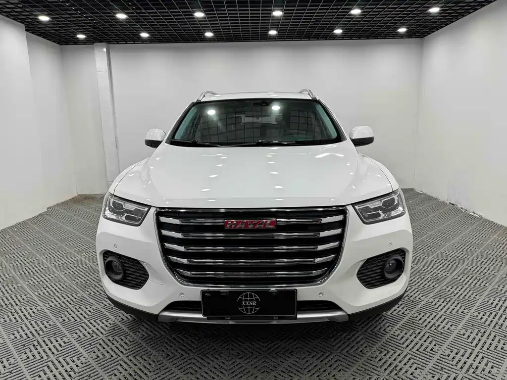 HAVAL H2S