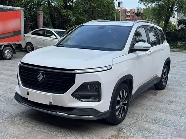 BAOJUN  530 2020