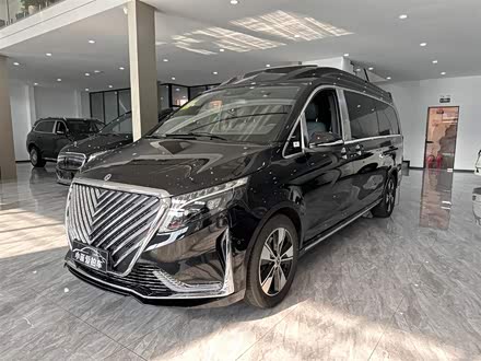 奔驰V级 2022款 V 260 L 长轴距豪华版