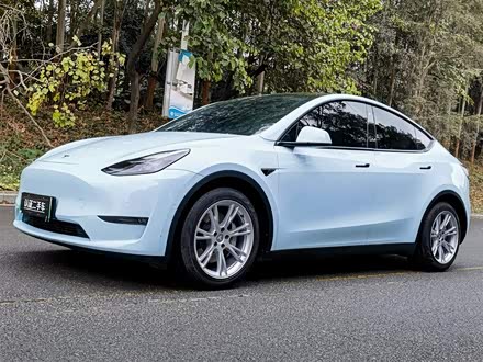 Model Y 2021款 长续航全轮驱动版