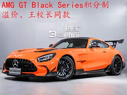 AMG GT 2021款 AMG GT Black Series