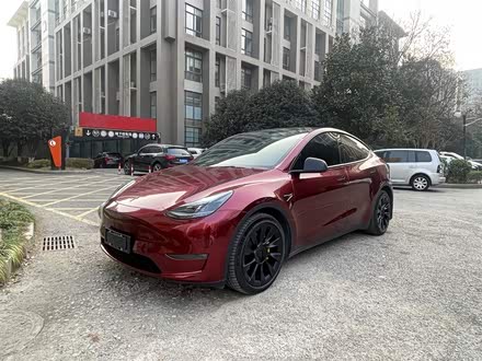 Model Y 2021款 标准续航后驱版