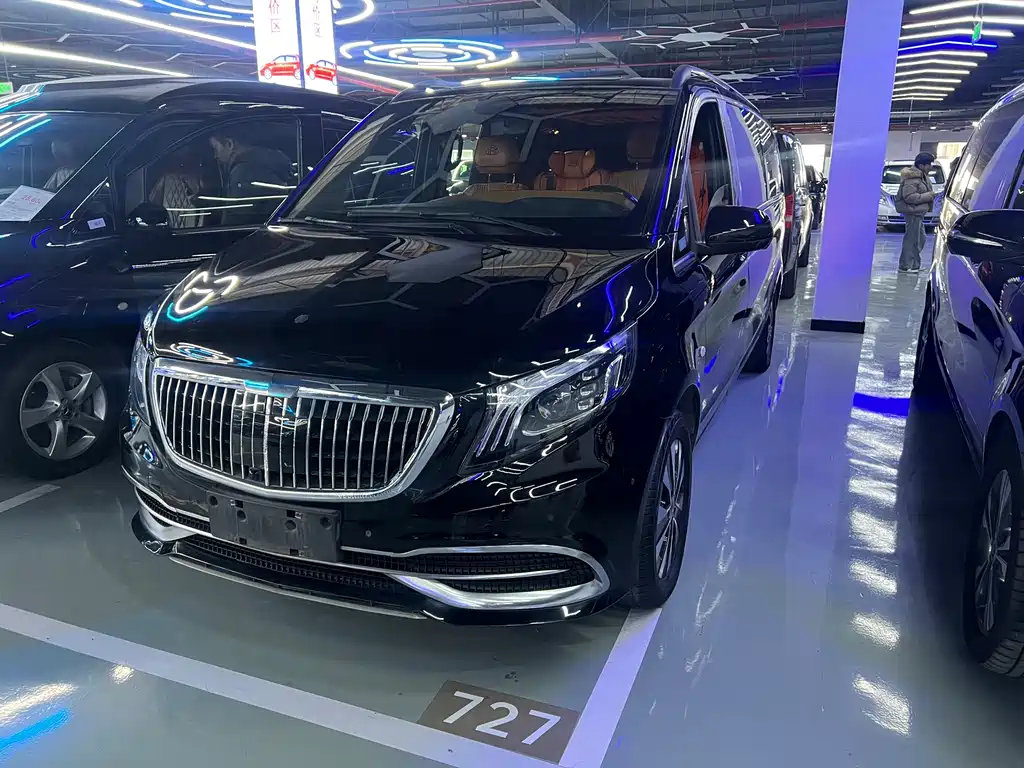 Вэйtíng 2021 модельного года, 2.0T Элитная версия, 7 мест 52000 km 2021