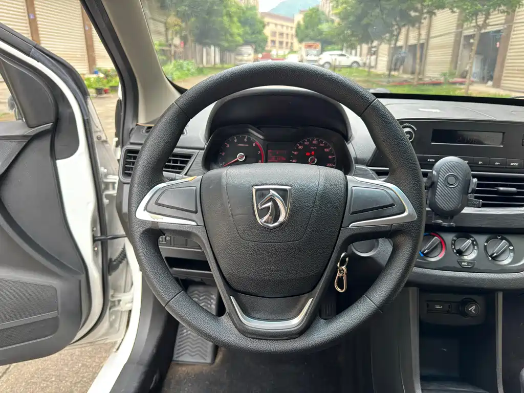 BAOJUN 310