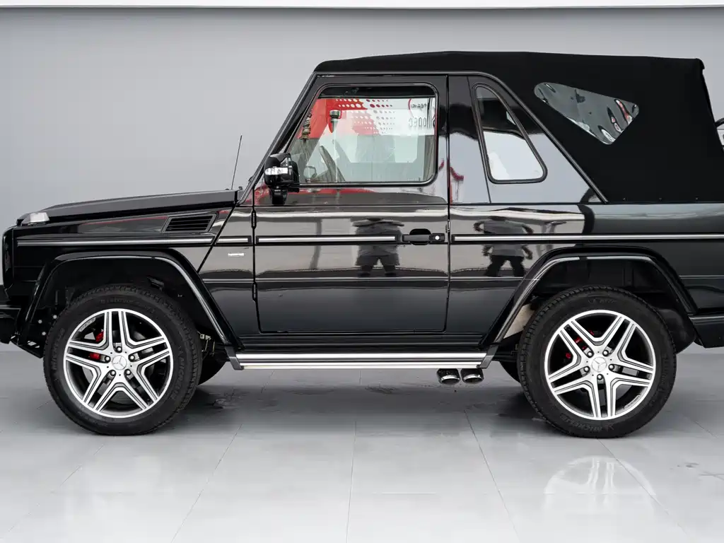 Mercedes-Benz G-Class G 2009 G 500