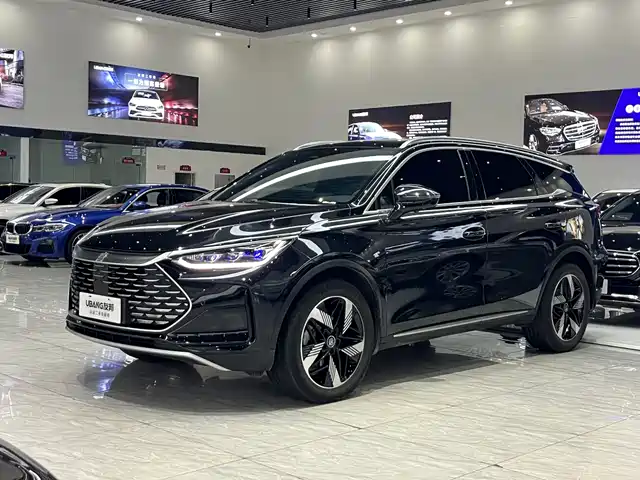 BYD TANGXIN ENERGY 2024