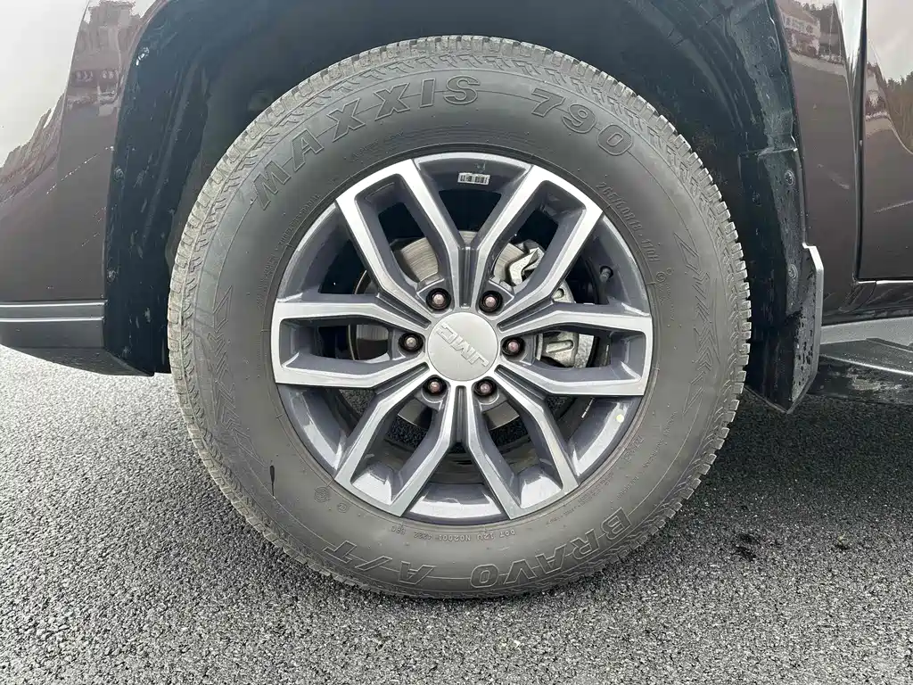 JIANGLING DOMAIN TIGER 9