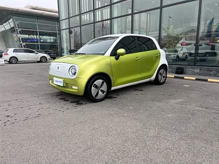 欧拉黑猫 2021款 301km 基础型