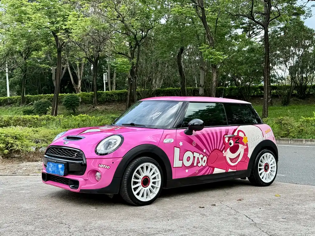 Mini Mini 2017