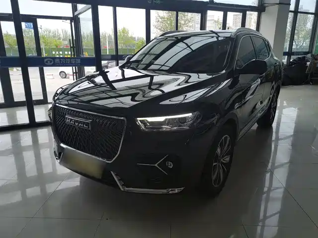 HAVAL  H6