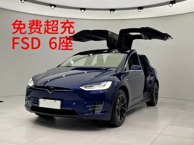 TESLA MODEL X 2018