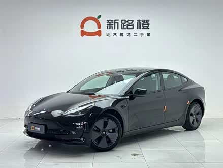 Model 3 2022款 后轮驱动版