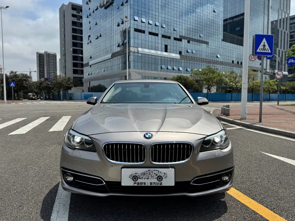 BMW 5 Series 5 2017 525Li Luxury