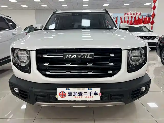 HAVAL BIG DOG