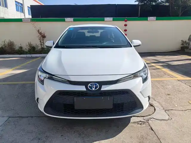 TOYOTA LEI LING 2021