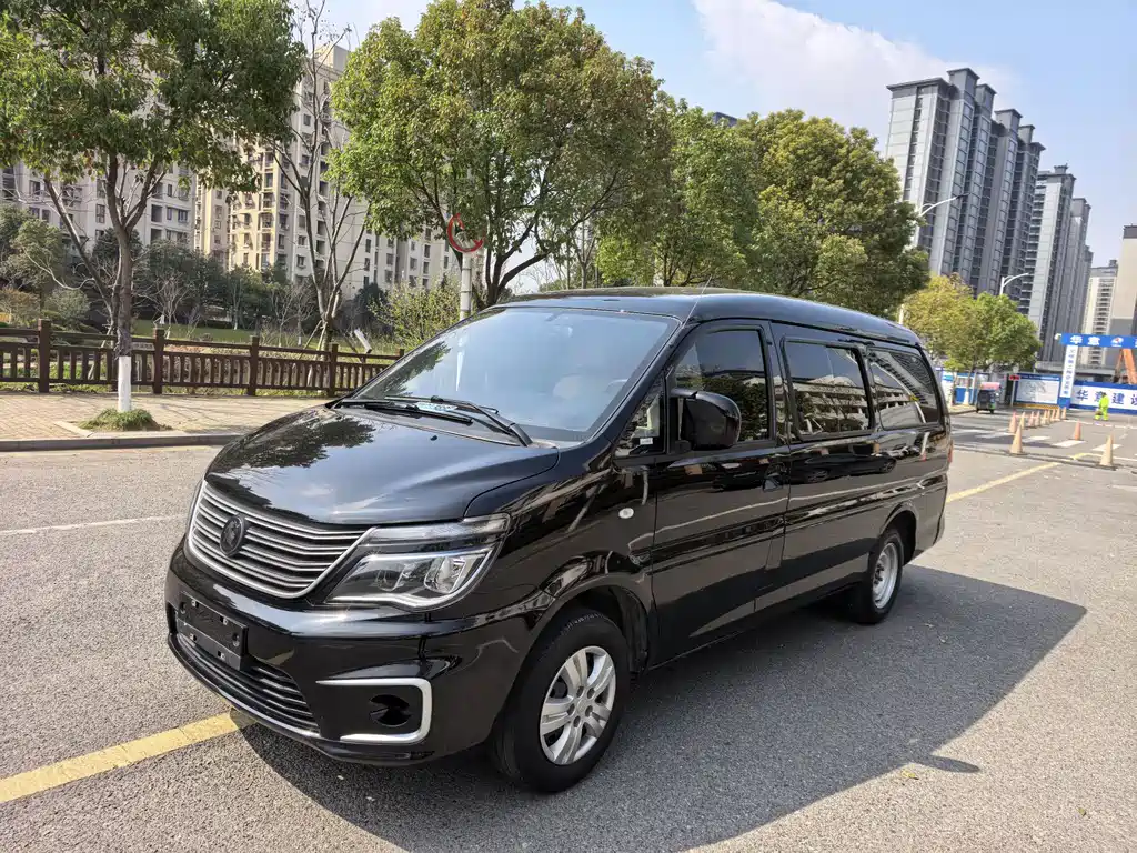 DONGFENG LINGZHI