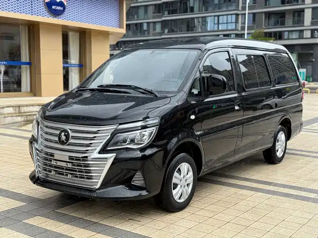 DONGFENG LINGZHI