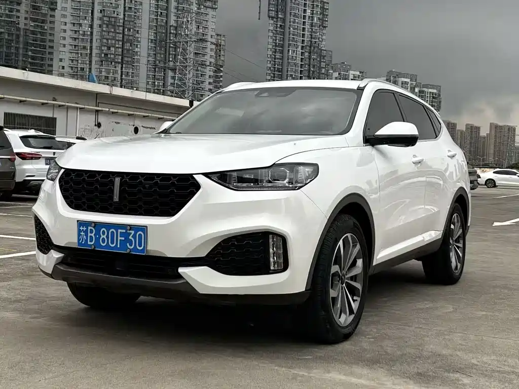 WEI PAI WEI BRAND VV6