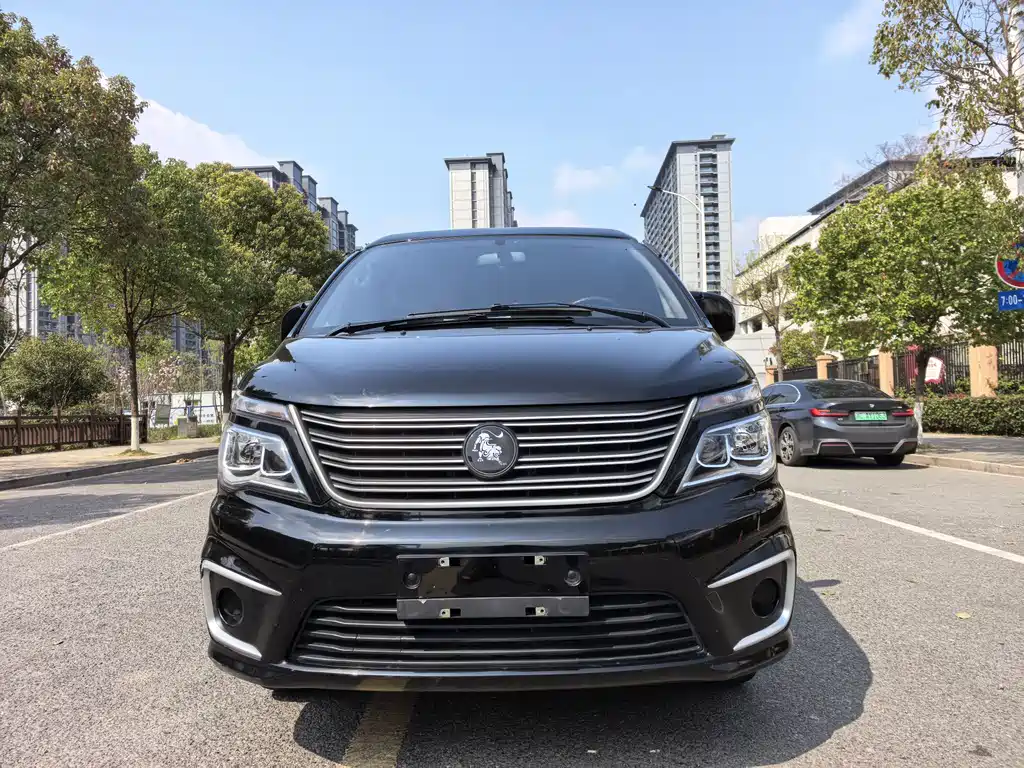 DONGFENG LINGZHI