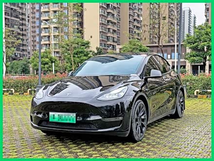 Model Y 2021款 标准续航后驱版