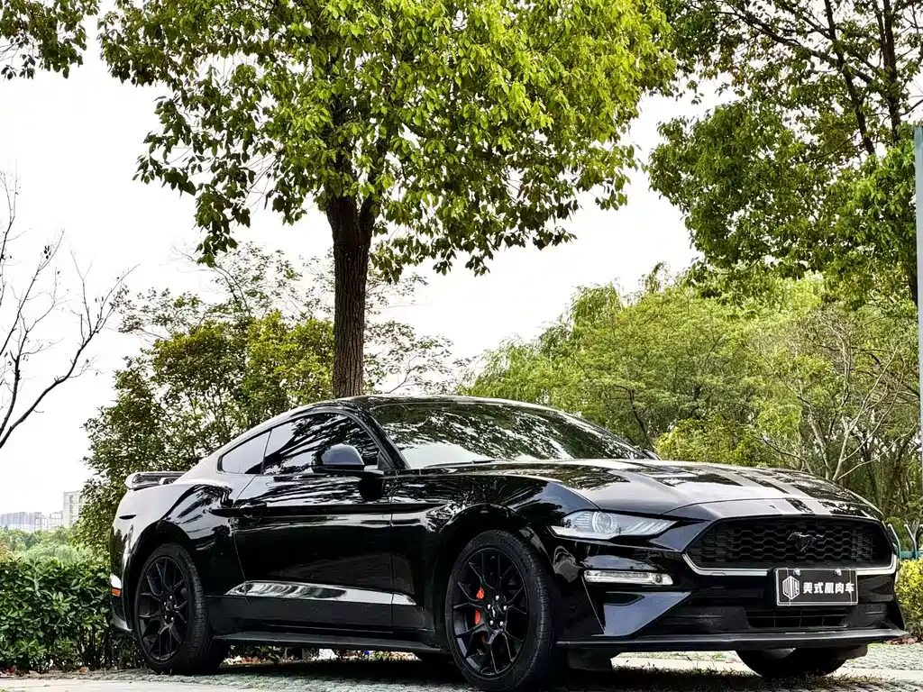 FORD MUSTANG