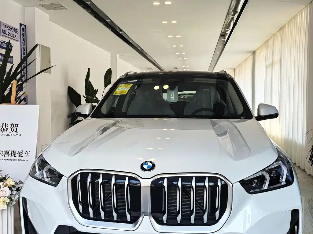 BMW X1 0