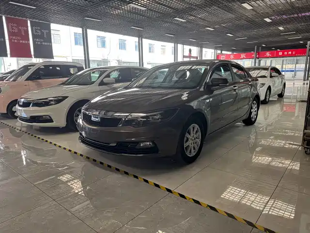 QOROS  3 2019