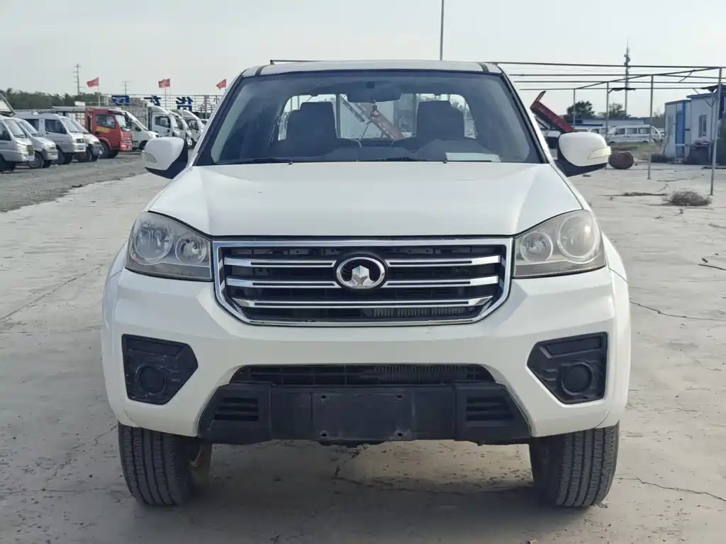 GREAT WALL FENGJUN 5