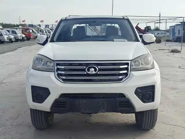 GREAT WALL FENGJUN 5