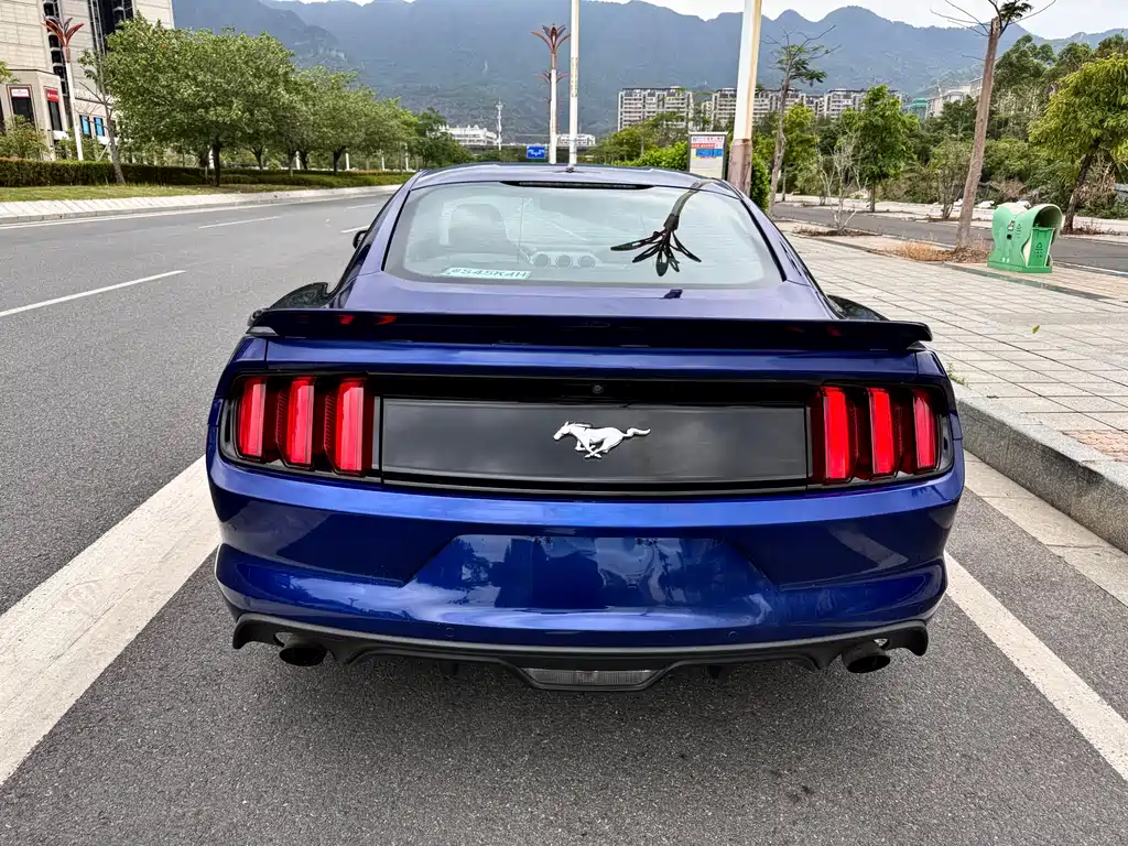 FORD MUSTANG