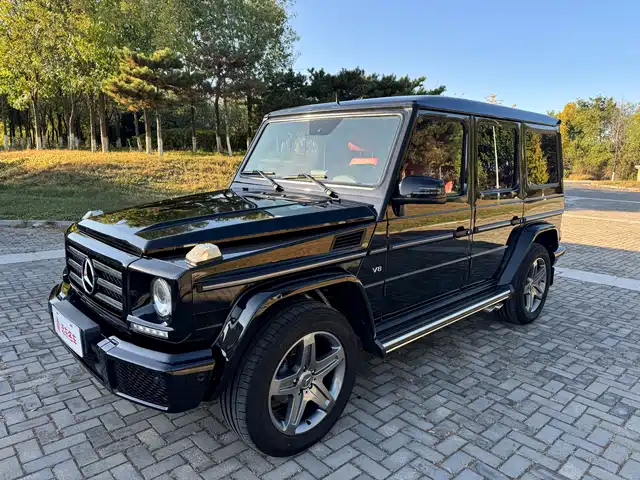 MERCEDES-BENZ G CLASS