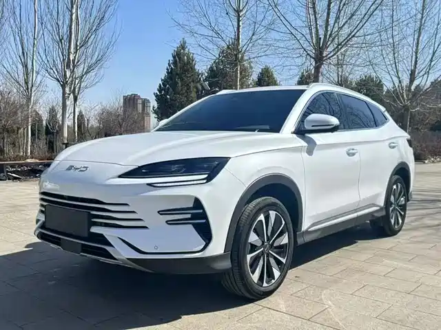 BYD SONGJIANG NEW ENERGY 2024