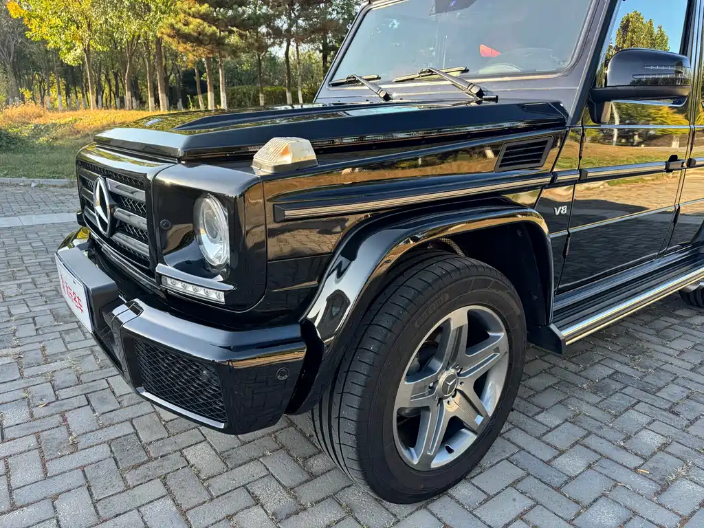 Mercedes-Benz G-Class G 2016 G 500