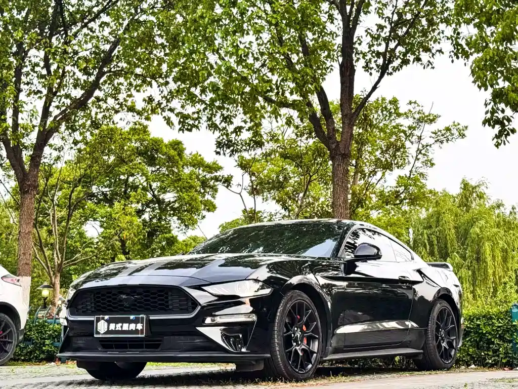 FORD MUSTANG