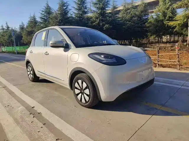 WULING WULING BINGGUO 2025