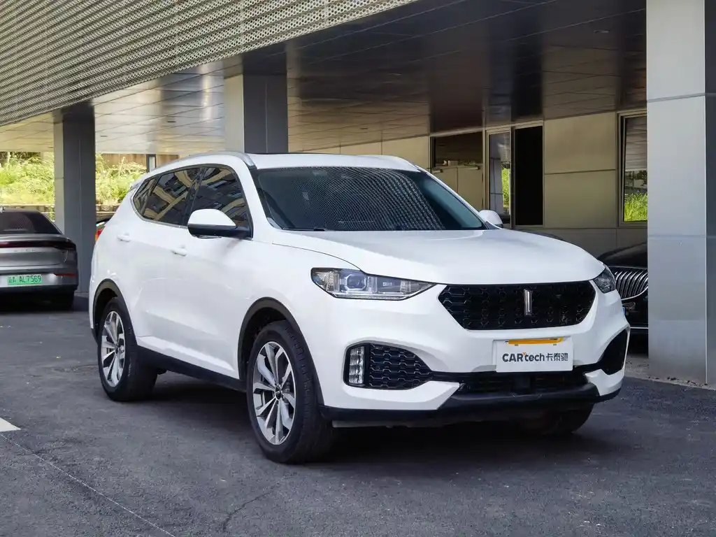 WEI PAI WEI BRAND VV6
