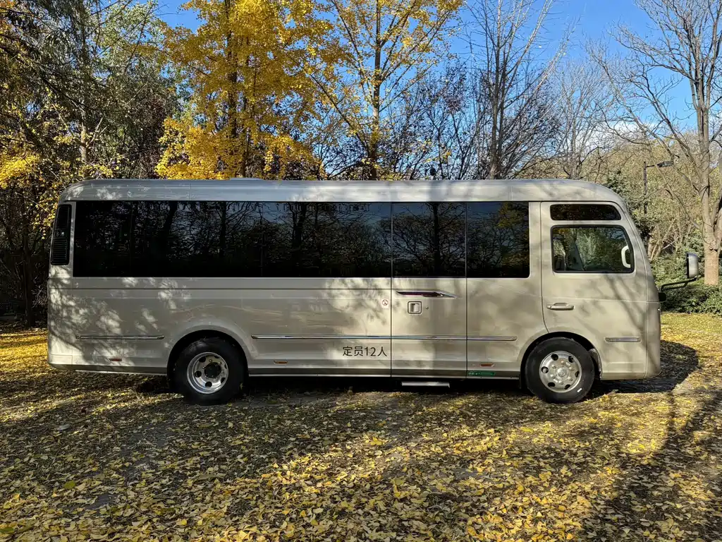 Hongqi HONGQI GUOYUE