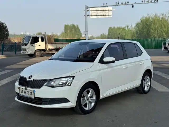 SKODA JINGRUI 2017