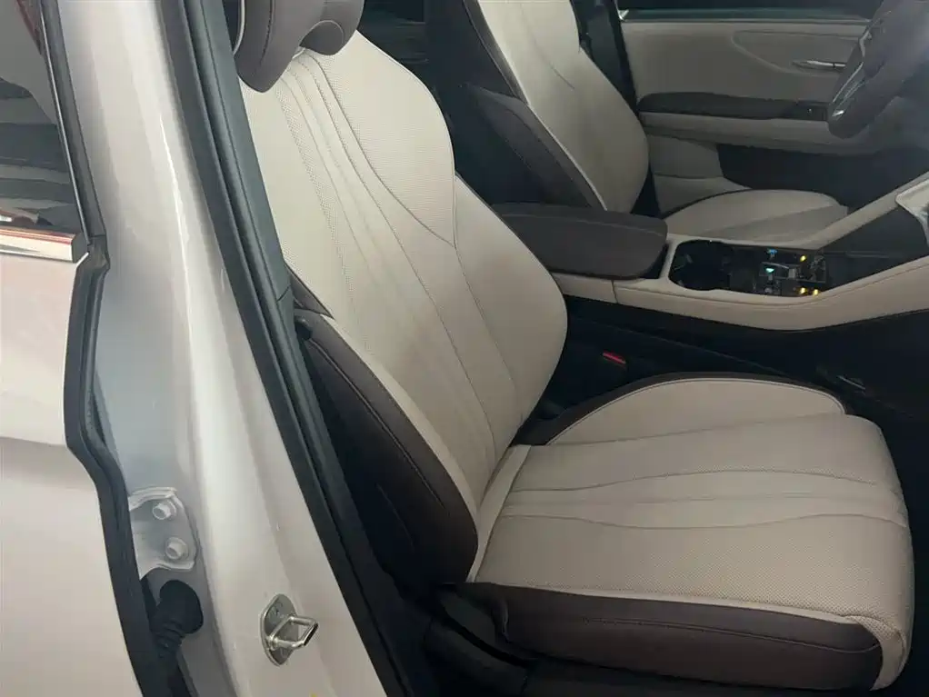 BYD SONGJIANG NEW ENERGY