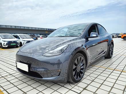 Model Y 2022款 Performance高性能全轮驱动版
