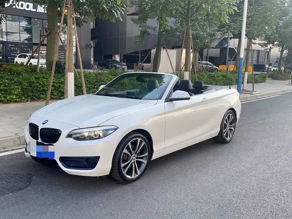 BMW 2 Series (Import) 2020