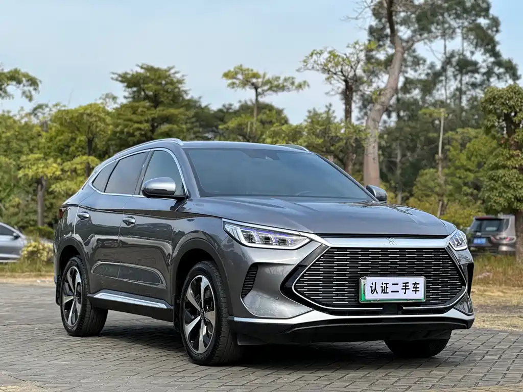 BYD SONGJIANG NEW ENERGY