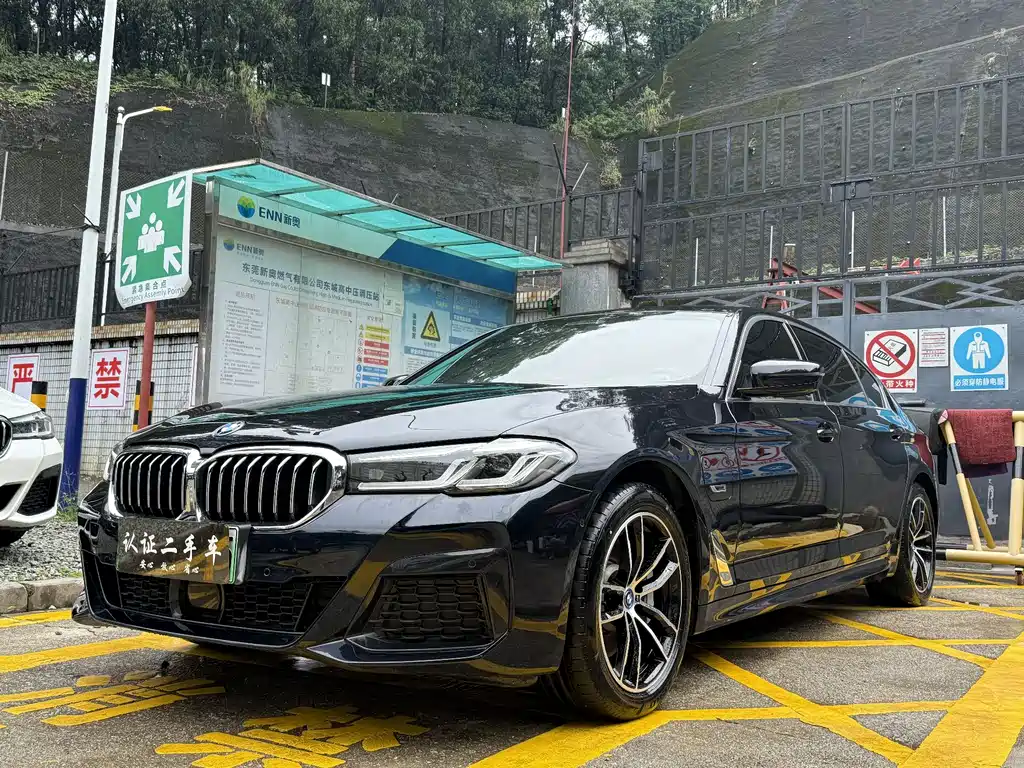 BMW 5 Series New Energy 2023