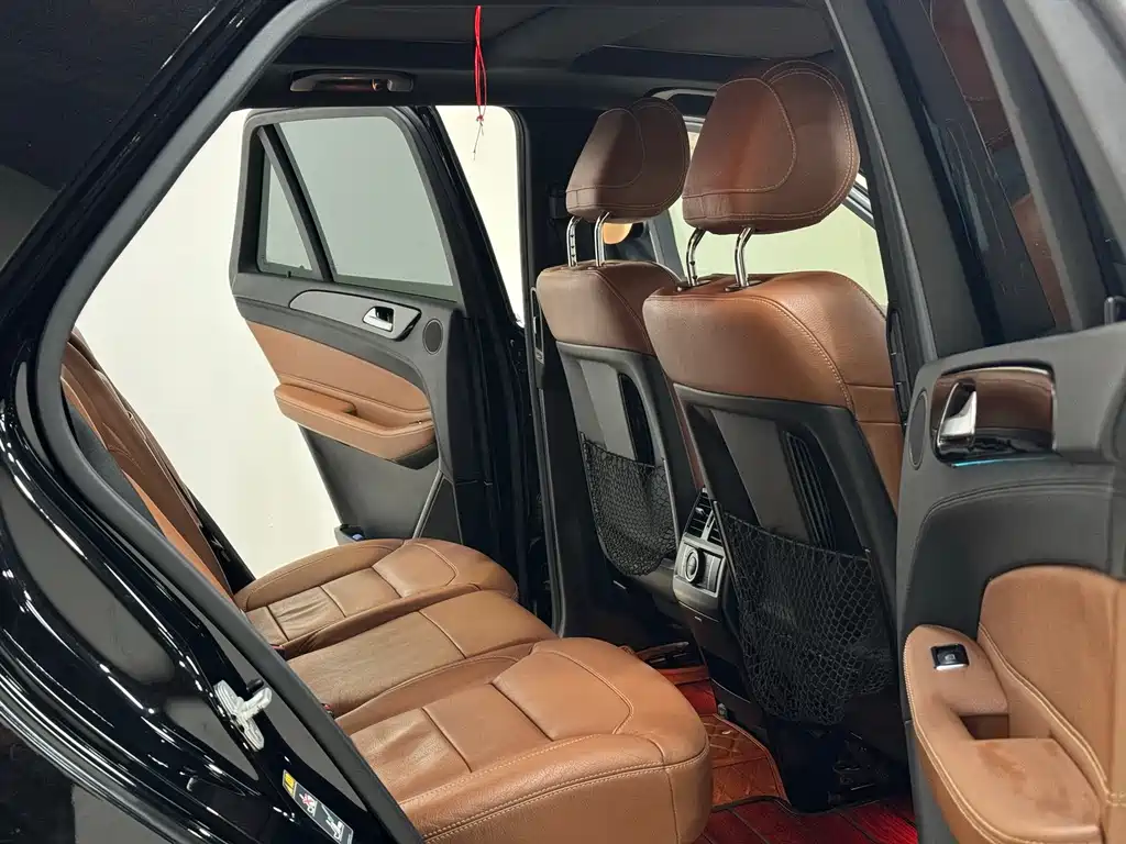 MERCEDES-BENZ GLE NEW ENERGY