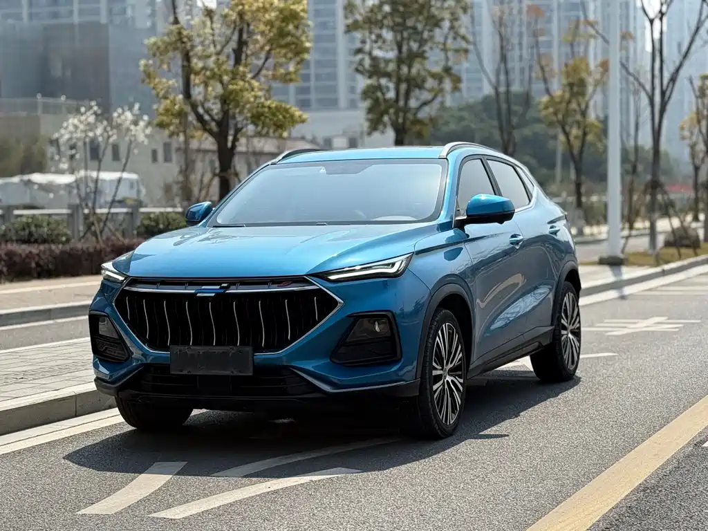 CHANGAN CHANGAN AUCHAN X5