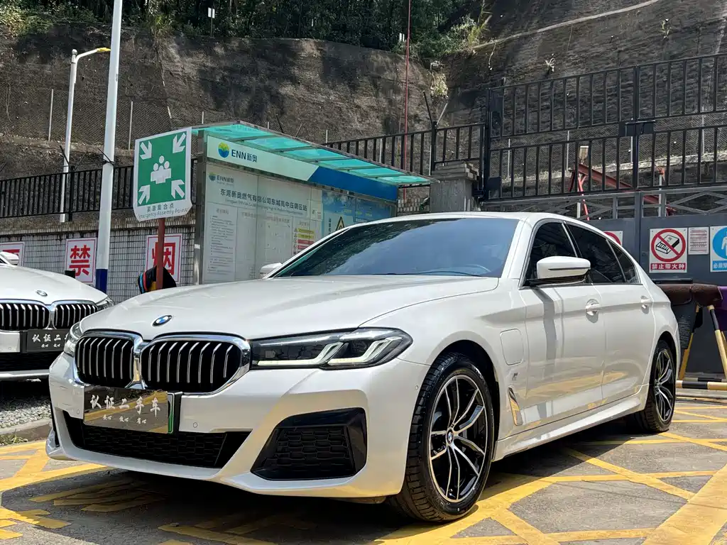 BMW 5 Series New Energy 2021
