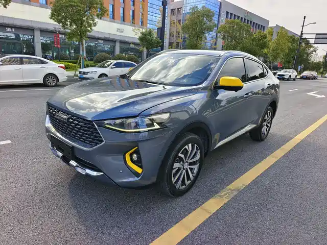 HAVAL  F7X