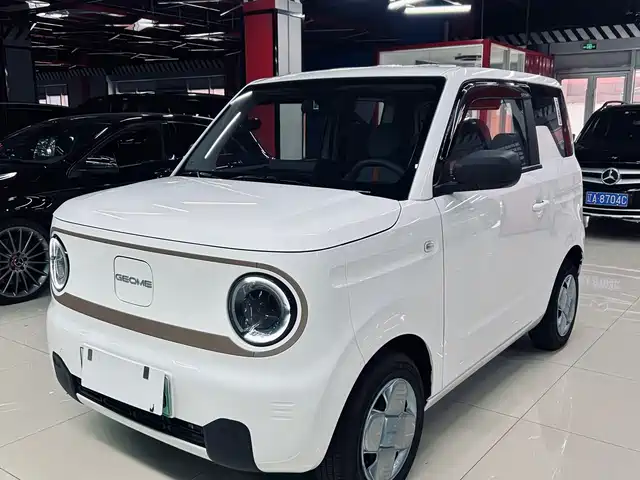 GEELY GALAXY PANDA 2023