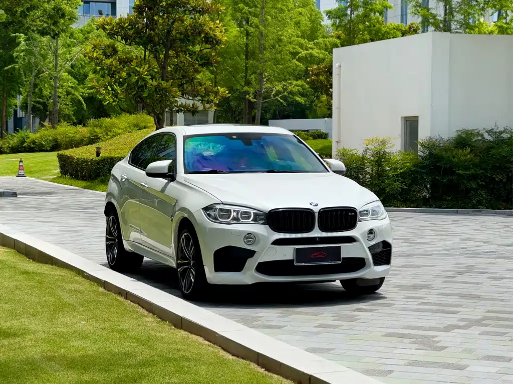 BMW X6 M X6 M, фото 3