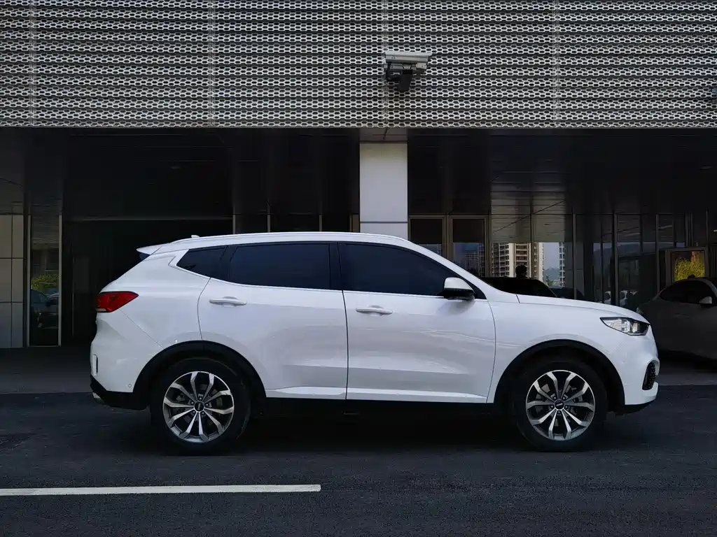 WEI PAI WEI BRAND VV6